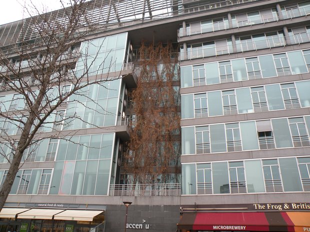  arbres dans un immeuble, avenue de France